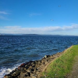 Meet your Posher, Sarica